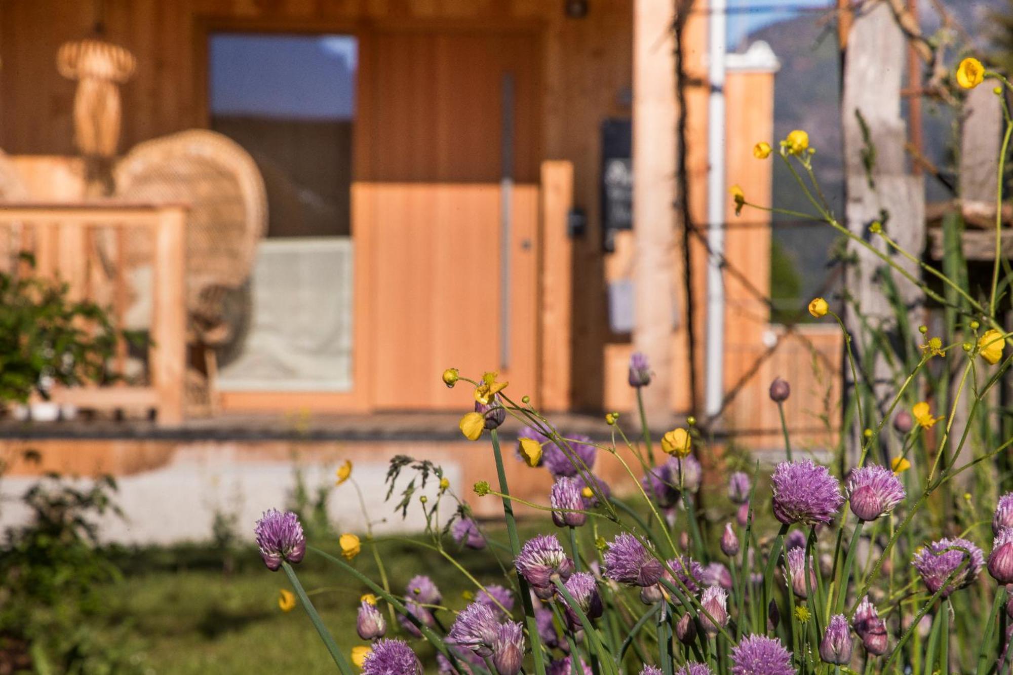 Alpegg Chalets Waidring Exteriör bild